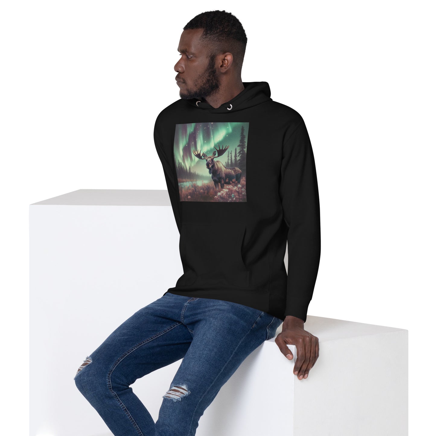 Moose and the Northern Lights Unisex Hoodie